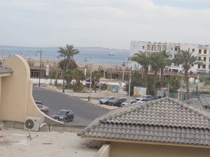 20250427_173735.jpg