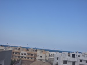 20250504_161856.jpg