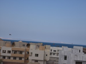 20250504_161905.jpg
