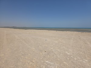 20250624_113803.jpg