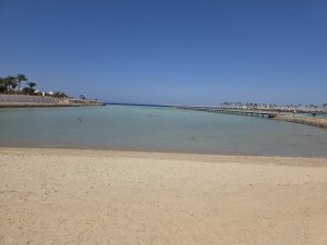 20250624_150848.jpg