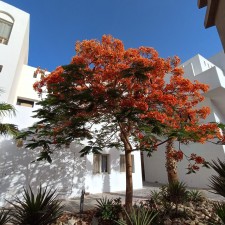 img_20250427_wa0032.jpg