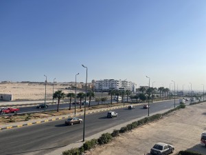 img_4255.jpeg