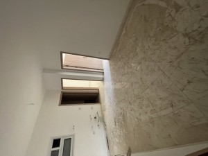 img_7290.jpeg