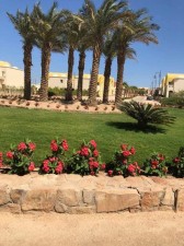 img_7307.jpeg